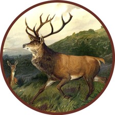 Edelhirsch in der Brunft Rotwild Platzhirsch Schützenscheibe 30cm 070