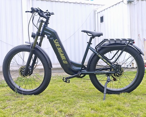 2000w dual motor - 2000w,