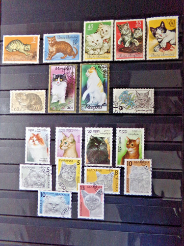 Briefmarken motiv katzen - katzen,