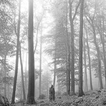 Folklore edition - folklore, [edition