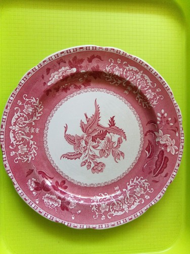Speiseteller groß spode - groß,