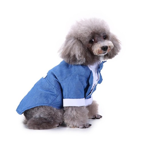 Haustier kleine hundekleidung - haustier,