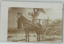 10741205 - Einspaenner Einachser Gig oder Sulky Kutsche