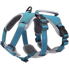 Hundegeschirr, Verstellbar