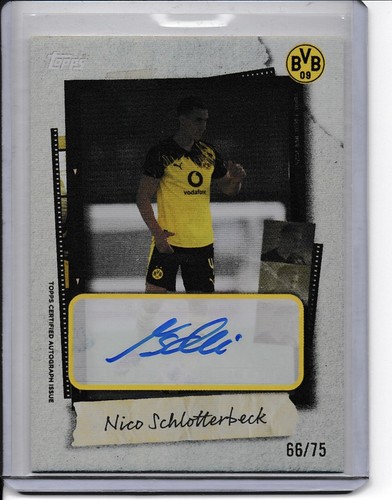 Tops focus bvb - focus,