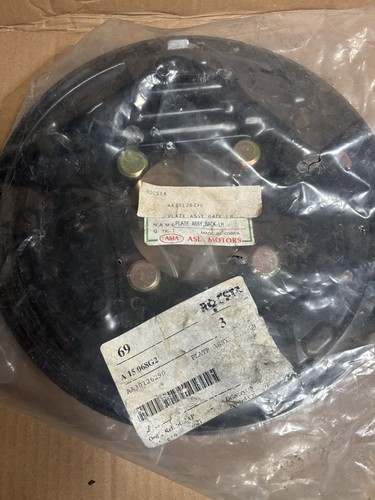 Asia rocsta bremsplatte hinten - bremsplatte,