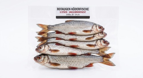 Köderfisch rotaugen gefroren - rotaugen,