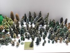 DDR uralte Bäume Baum Tanne
