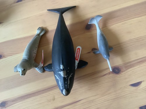 Schleich wal glattwal - wal,