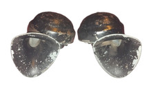 Clear Hooters Cleartone Twin Horn CT 750 Vintage UK GB Britisch Car Hupe Fanfare