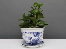 China Porzellan Blumentopf