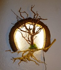 Wandlampe aus Wurzelholz mit Led-Beleuchtung, "Lebensbaum"