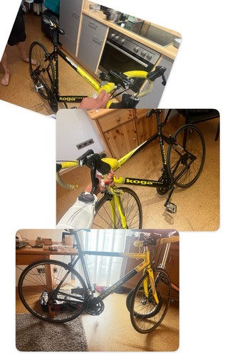 Koga miyata rennrad - koga,
