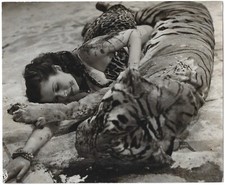 Hertha Feiler Männer müssen so sein / Tiger orig. Terra - AHF