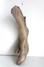 Schwemmholz Treibholz - extrem schön -  Skulptur L 38cm - Lampe Engel