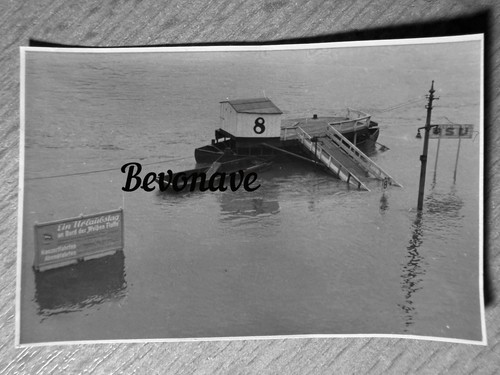 Foto dresden elbe hochwasser - dresden,