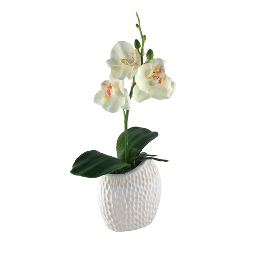 Orchideen gesteck weiß - orchideen-gesteck, in