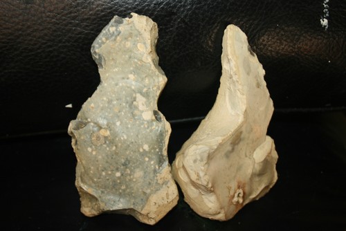 Wonderful neanderthaler - wonderful,