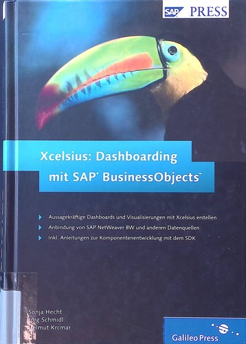 Xcelsius dashboarding mit sap - dashboarding,