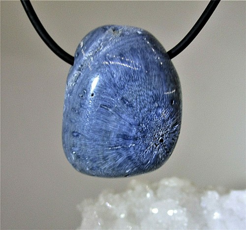 Schaumkoralle blau - schaumkoralle,
