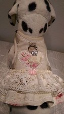 Hundegeschirr softgeschirr - s,
