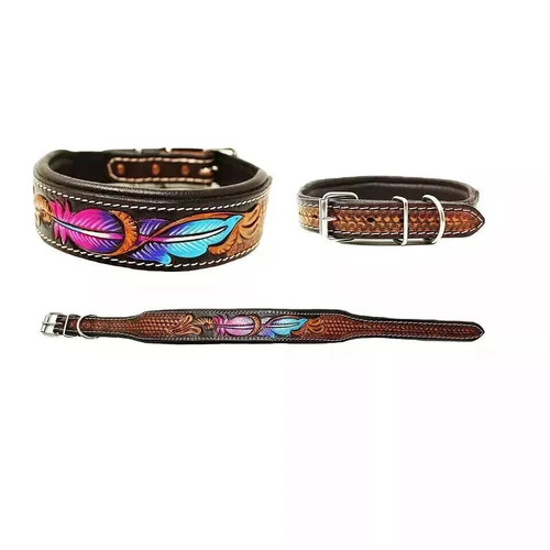 Mehrfarbiges hundehalsband aus - mehrfarbiges,