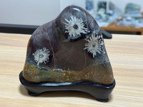 Suiseki bonseki bonsai - suiseki,