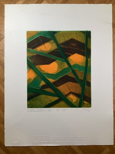 Willibrord haas mai - *,