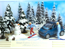 Busch Smart Fortwo Limited Edition "Winter-Zauber", sehr guter Zustand