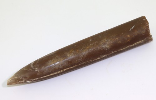 Belemnit cylindroteuthis sp - belemnit,,