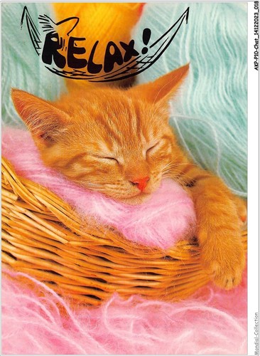 Akpp10 0789 chat roter - -,