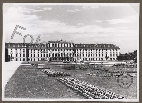 Foto österreich wien - foto,