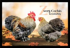 Fußmatte Schmutzfangmatte