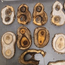 Hohle ovale Nussbaum Baumscheibe ca 37/50x24/28x4cm Holzscheibe Loch Basteln DIY