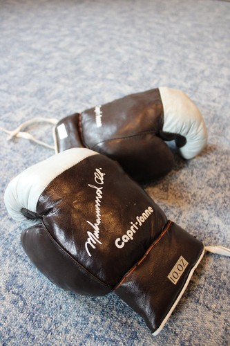Boxhandschuhe mit - 10,