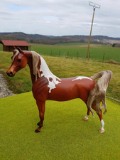 Modellpferd Peter Stone DAH Araber Hengst 2014