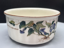 Villeroy & Boch Botanica