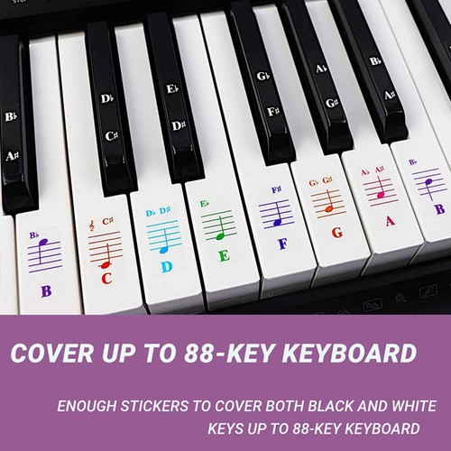 Piano keyboard sticker label - keyboard,