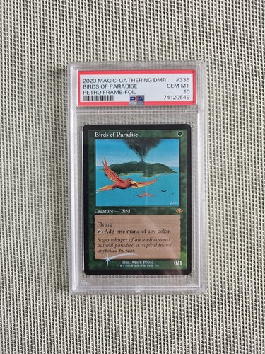 Psa birds paradise - 10,