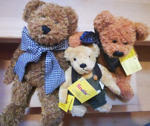 Sunkid teddy bären - teddy,