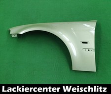 KOTFLÜGEL LACKIERT IN