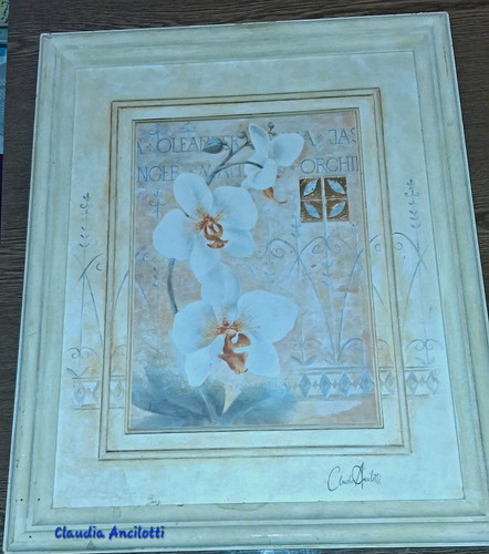 Claudia ancilotti bild - bild, gerahmt