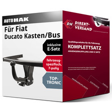 Für Ducato Kasten/Bus 250