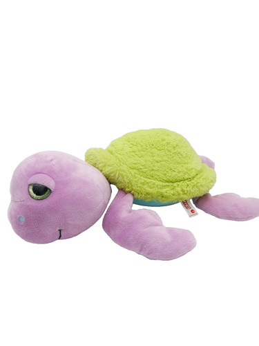 Nici schildkröte seamon under - schildkröte,