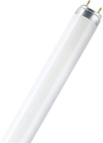 Osram substitube stück - osram, 10