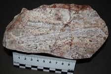 Amethyst-Quarz Anschliff