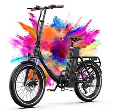 20 Zoll Onesport 250W