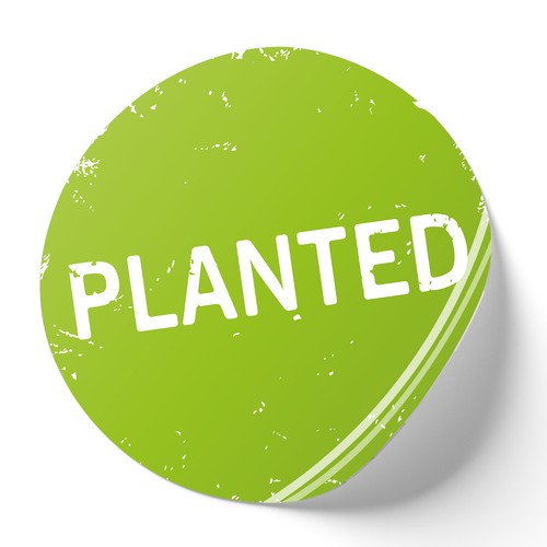 500er set aufkleber planted - set, "planted"
