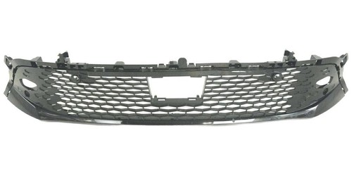 Frontgrill schwarz glanz - schwarz, mit