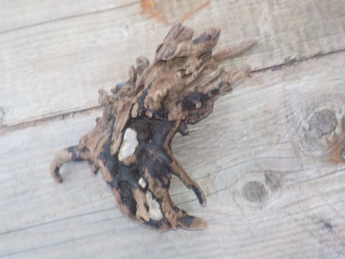 Skulpturales aquarium holz - skulpturales,